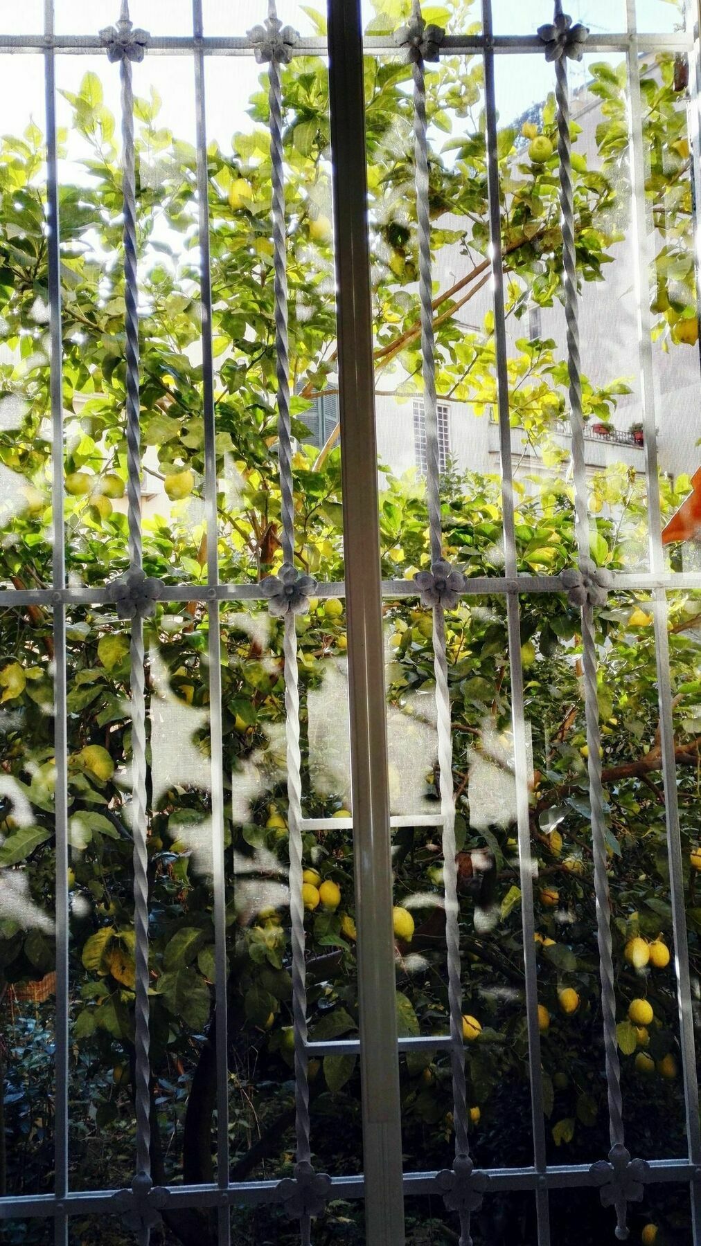 Via Umberto Lägenhet Rom Exteriör bild